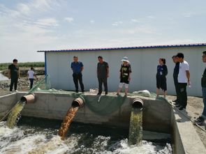 博湖县博斯腾湖西岸生态环境保护截污工程 博湖县农排水人工湿地深度处理及生态修复工程成功验收