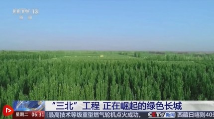 "绿色长城"正在崛起!揭开"三北"工程建设密码